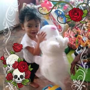 Meet your Posher, Shaquille